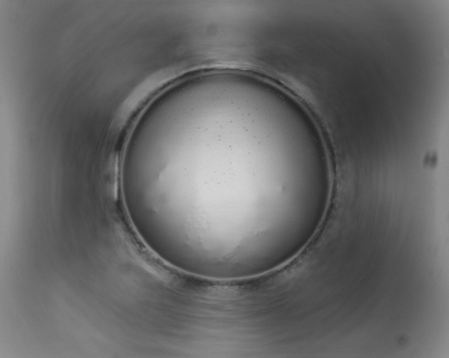 X0000114001223200910021309