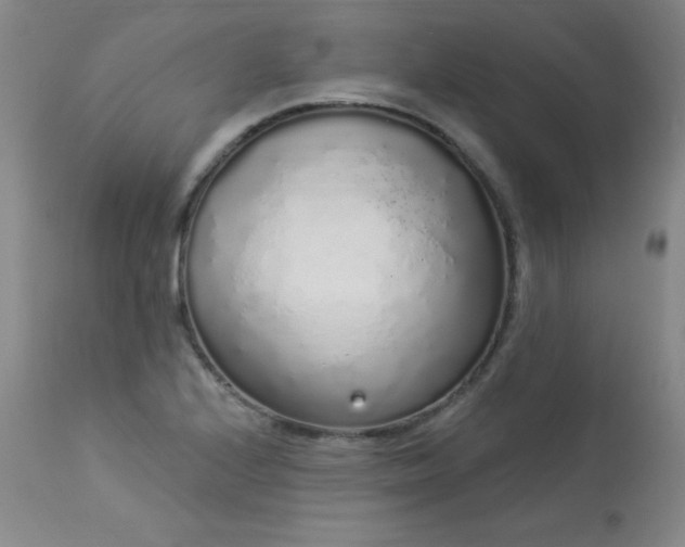 X0000114001224200910021309