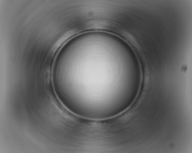 X0000114001226200910021309
