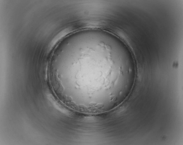 X0000114001227200910021309