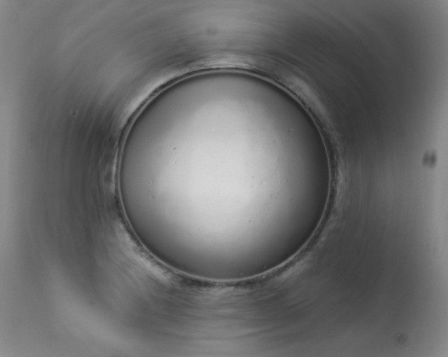X0000114001228200910021309