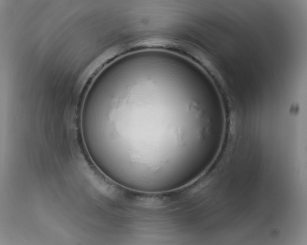 X0000114001229200910021309