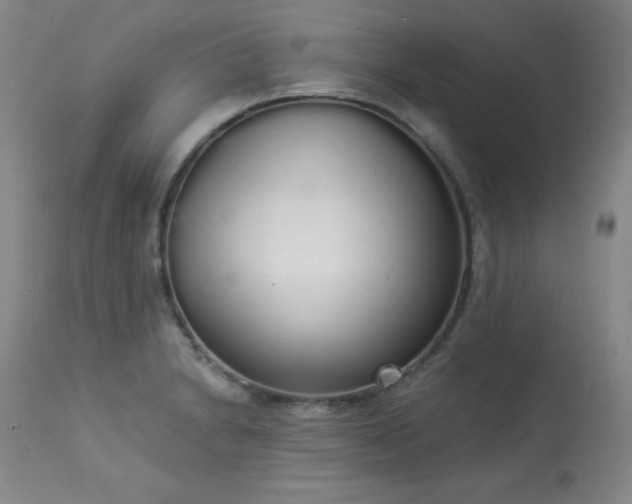X0000114001230200910021309