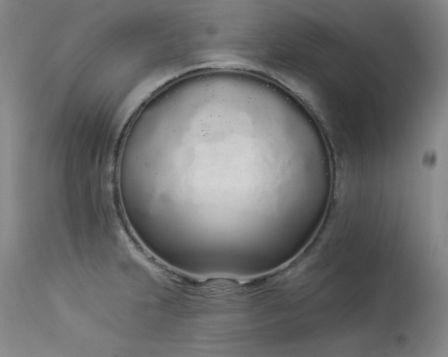 X0000114001231200910021309
