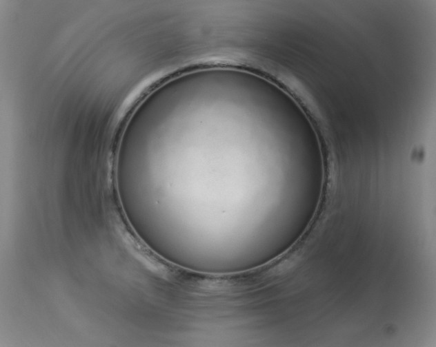 X0000114001232200910021309