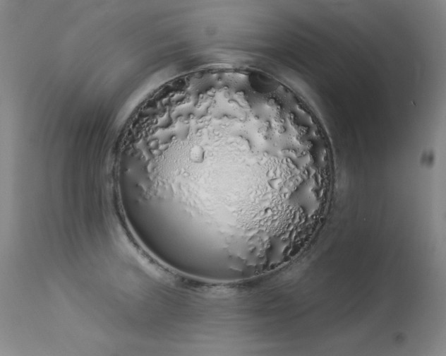 X0000114001235200910021309