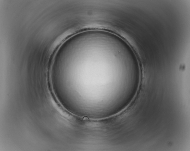 X0000114001237200910021309