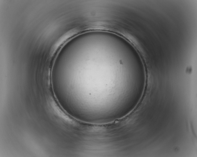 X0000114001238200910021309