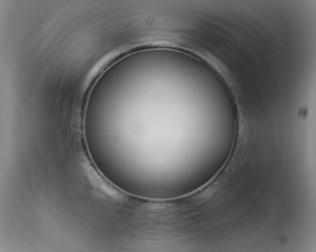X0000114001240200910021309