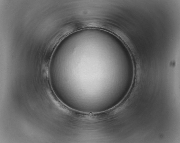 X0000114001241200910021309