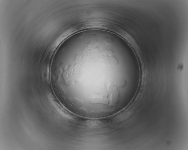 X0000114001242200910021309
