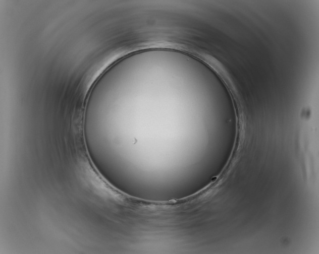X0000114001244200910021309