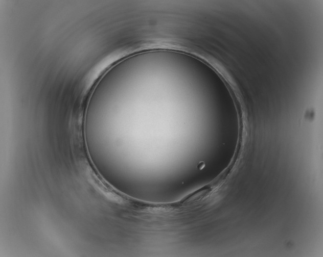 X0000114001246200910021309