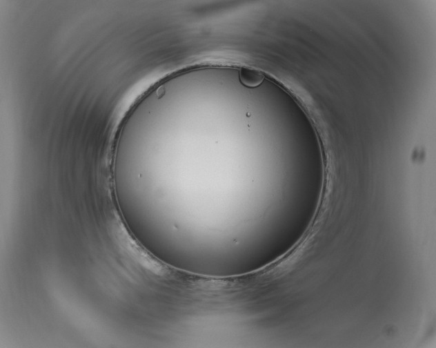 X0000114001248200910021309