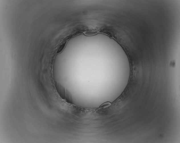 X0000114001249200910021308
