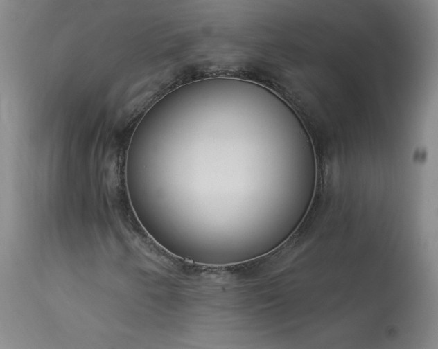 X0000114001250200910021308