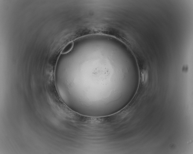 X0000114001251200910021308