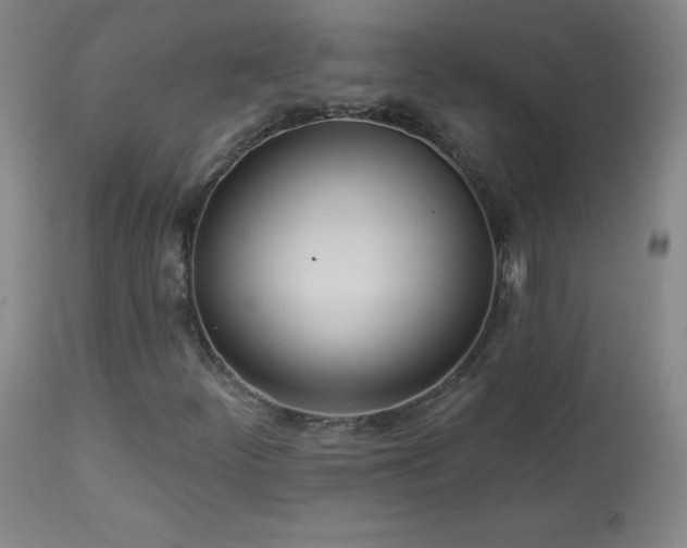 X0000114001252200910021308