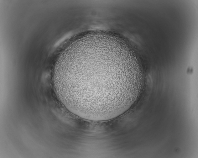 X0000114001254200910021308