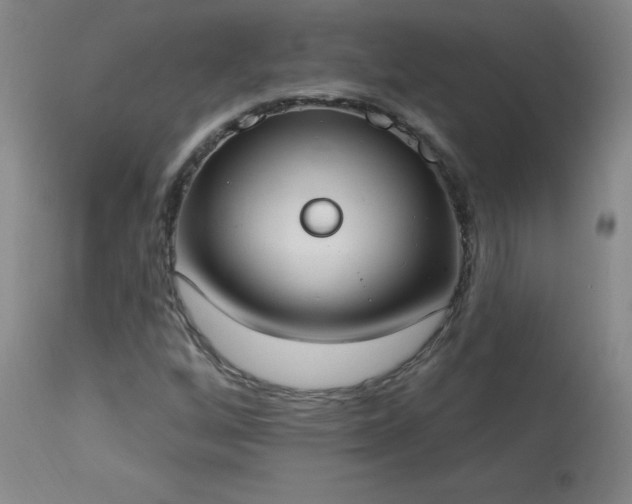 X0000114001256200910021308