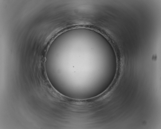 X0000114001257200910021308