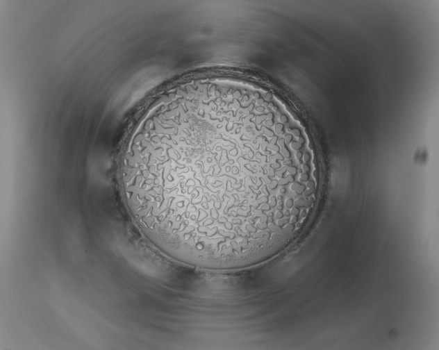X0000114001258200910021308