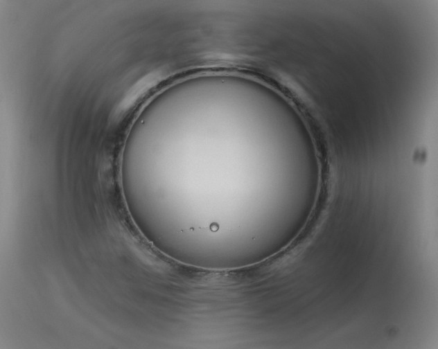 X0000114001259200910021308