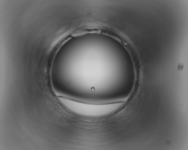 X0000114001261200910021308