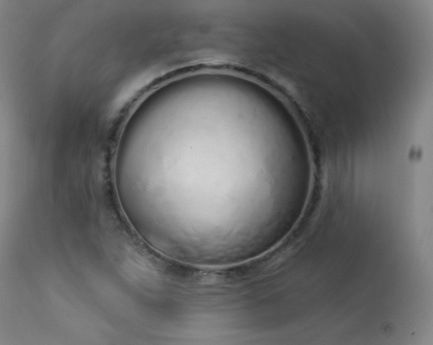 X0000114001263200910021308