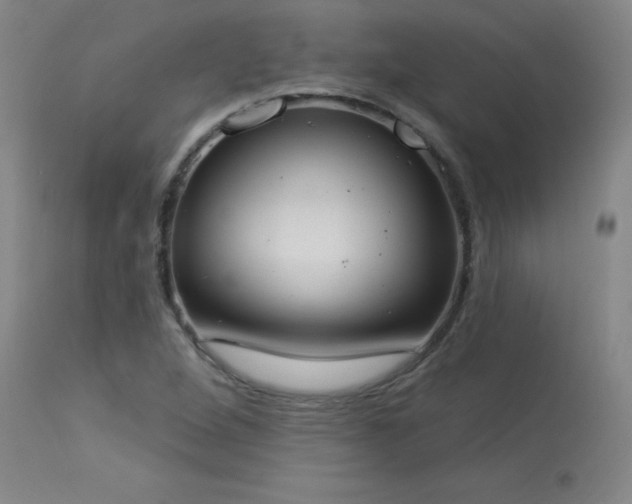 X0000114001264200910021308