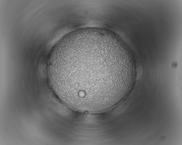 X0000114001266200910021308