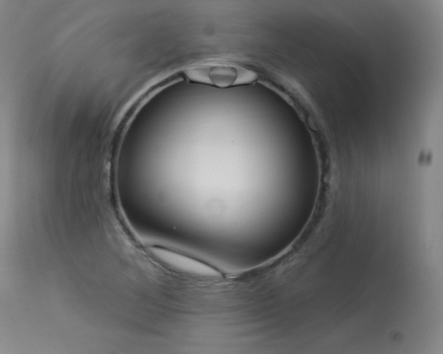 X0000114001268200910021308