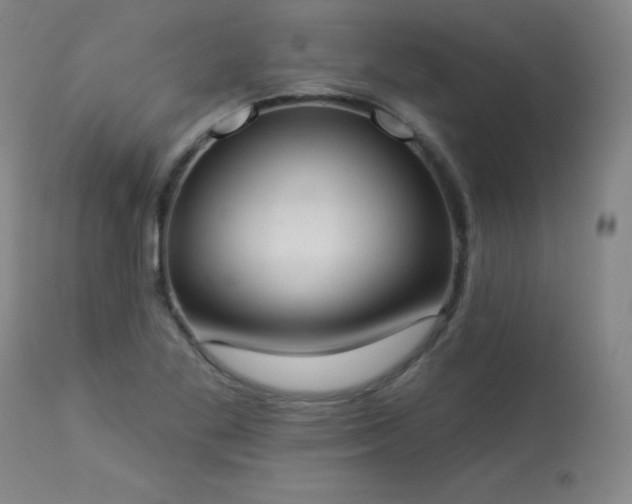 X0000114001269200910021308
