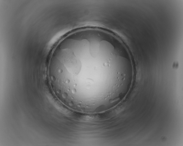 X0000114001271200910021308