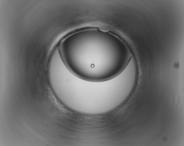 X0000114001272200910021308