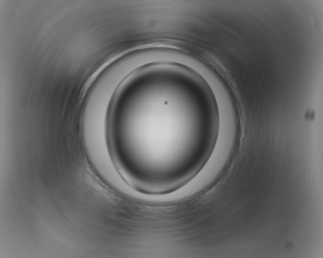 X0000114001276200910021308
