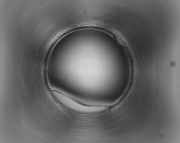 X0000114001277200910021308