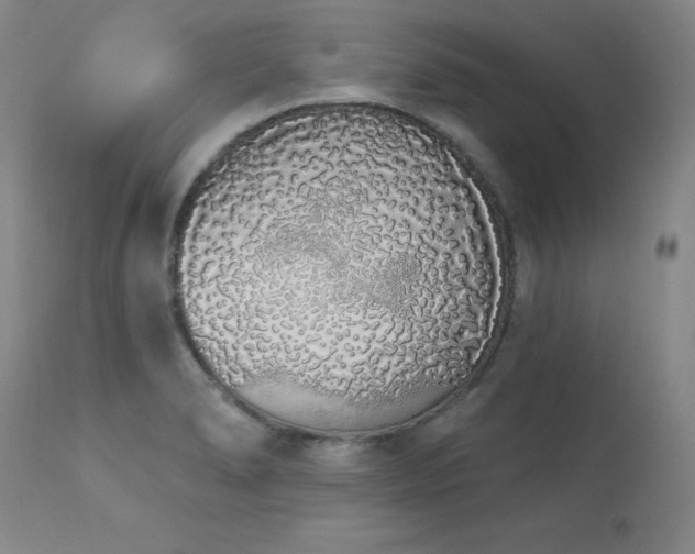 X0000114001278200910021308