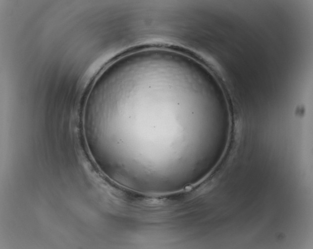 X0000114001279200910021308
