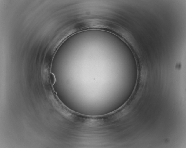 X0000114001281200910021308