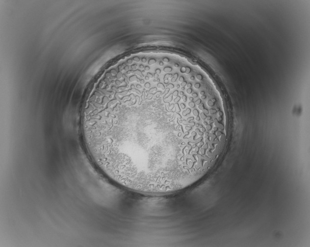 X0000114001282200910021308