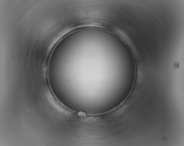 X0000114001284200910021308