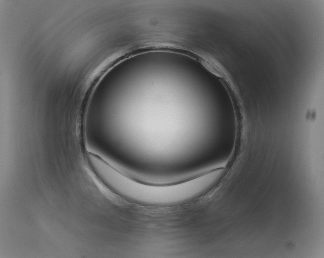 X0000114001285200910021308