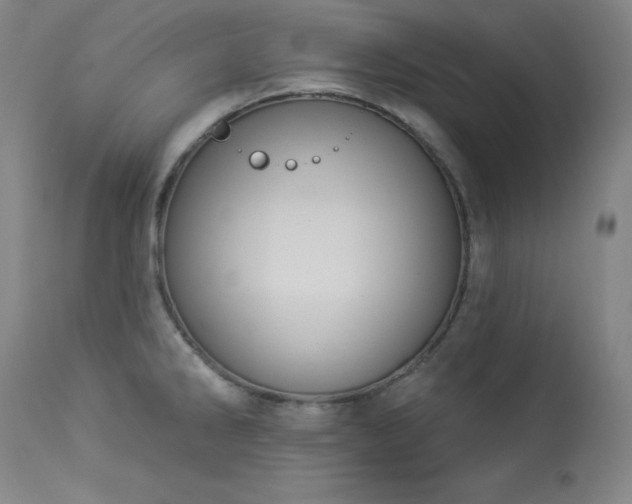 X0000114001286200910021308