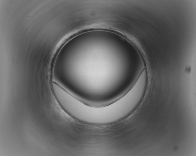 X0000114001288200910021307