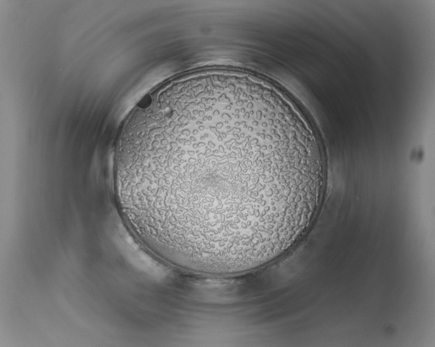 X0000114001290200910021307