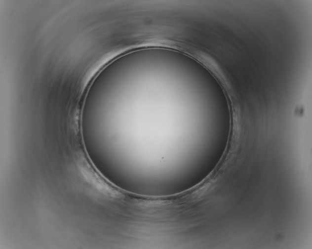X0000114001292200910021307