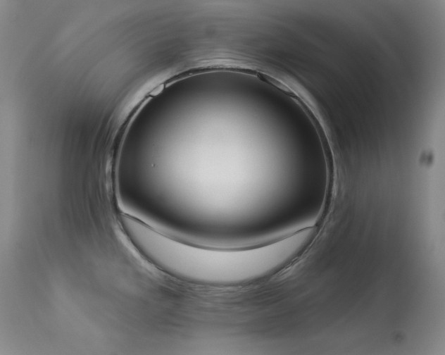 X0000114001293200910021307