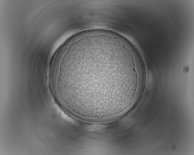 X0000114001294200910021307