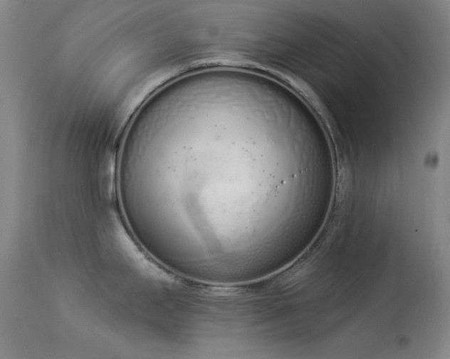 X0000114001295200910021307